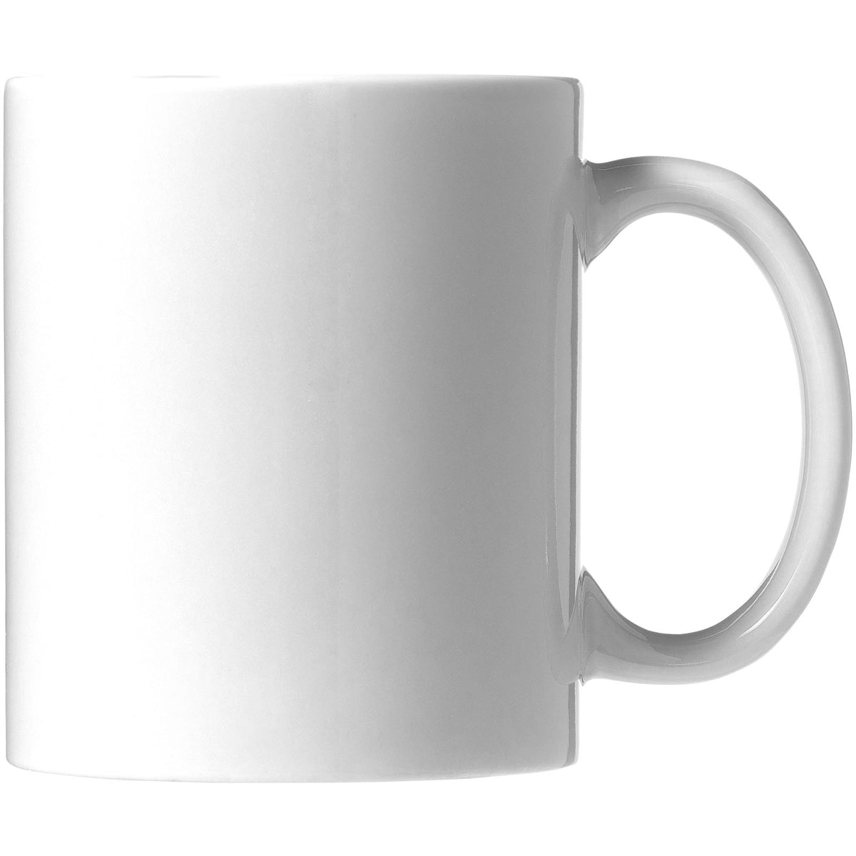 Bahia mugg