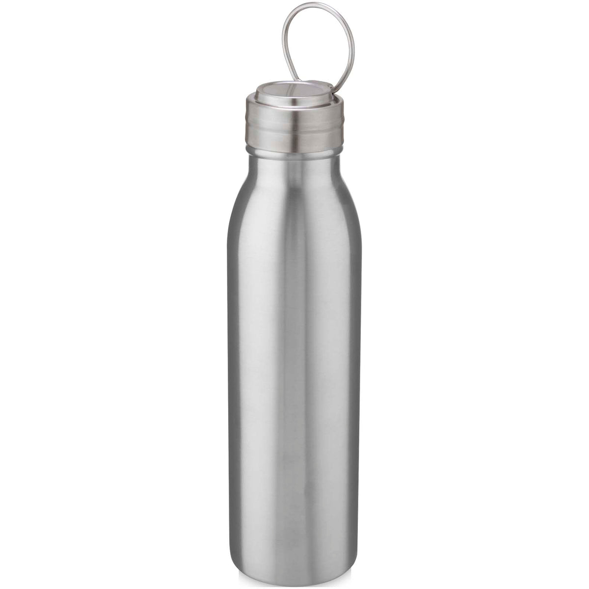 Harper 700 ml sportflaska i rostfritt stål med metalloop
