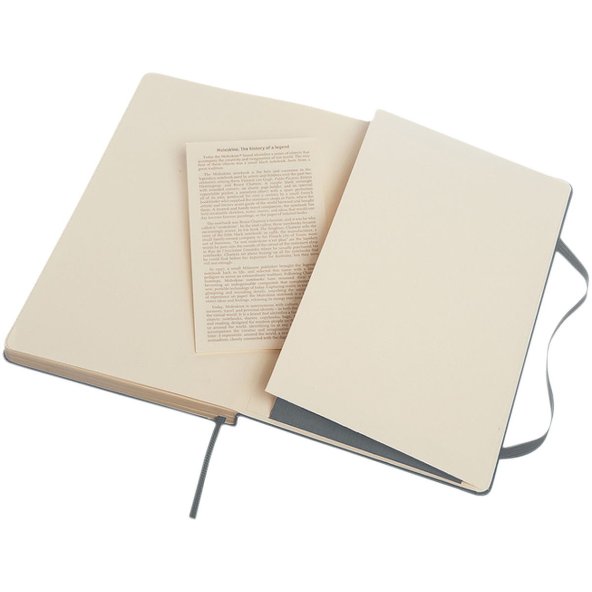 Moleskine Classic L inbunden anteckningsbok – linjerad