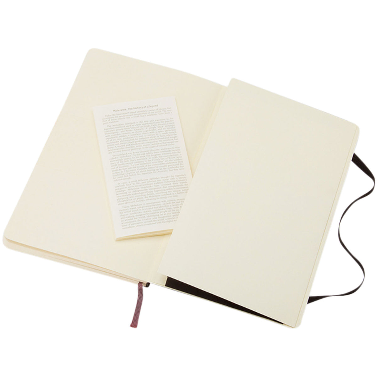 Moleskine Classic L anteckningsbok med mjukt omslag – linjerad