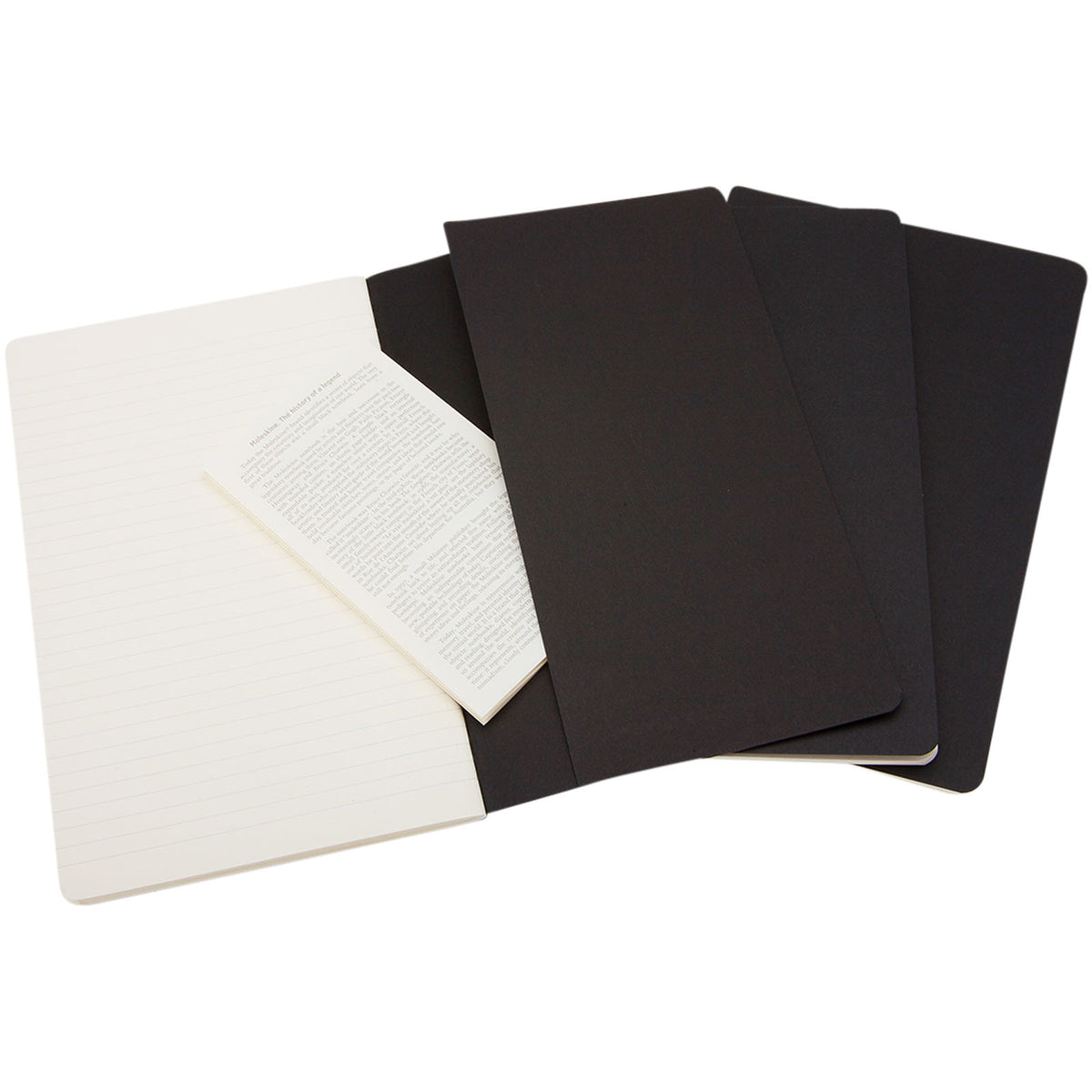 Moleskine Cahier Journal L – linjerad