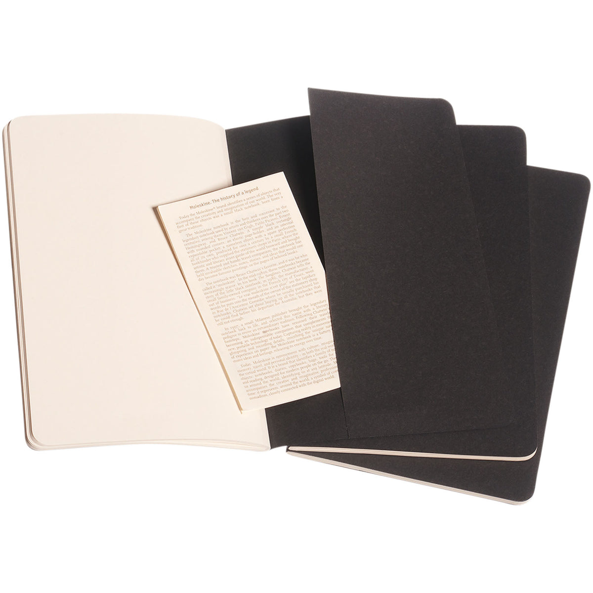 Moleskine Cahier Journal L – linjerad