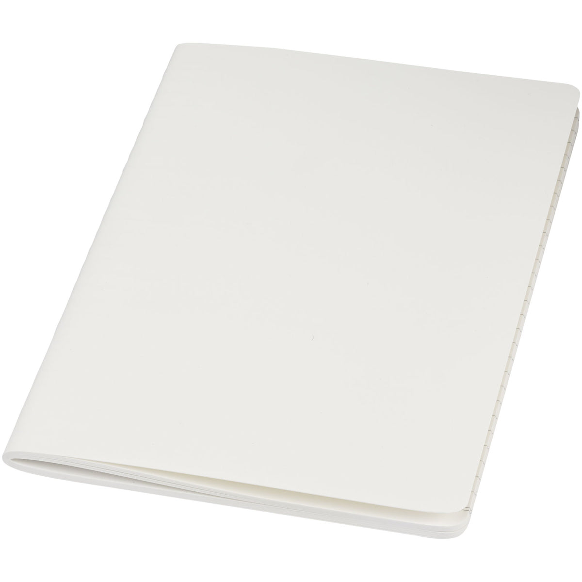 Shale cahier dagbok i stenpapper