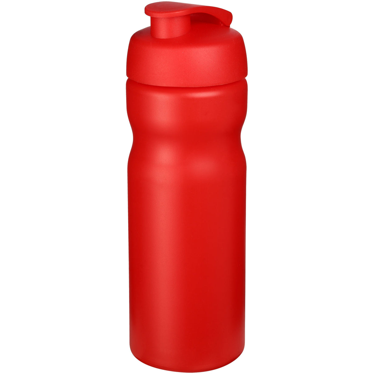 Baseline® Plus 650 ml sportflaska med uppfällbart lock