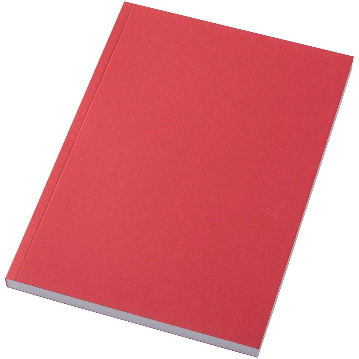 Scribe Plus A5 anteckningsbok i återvunnet papper med mjukt omslag