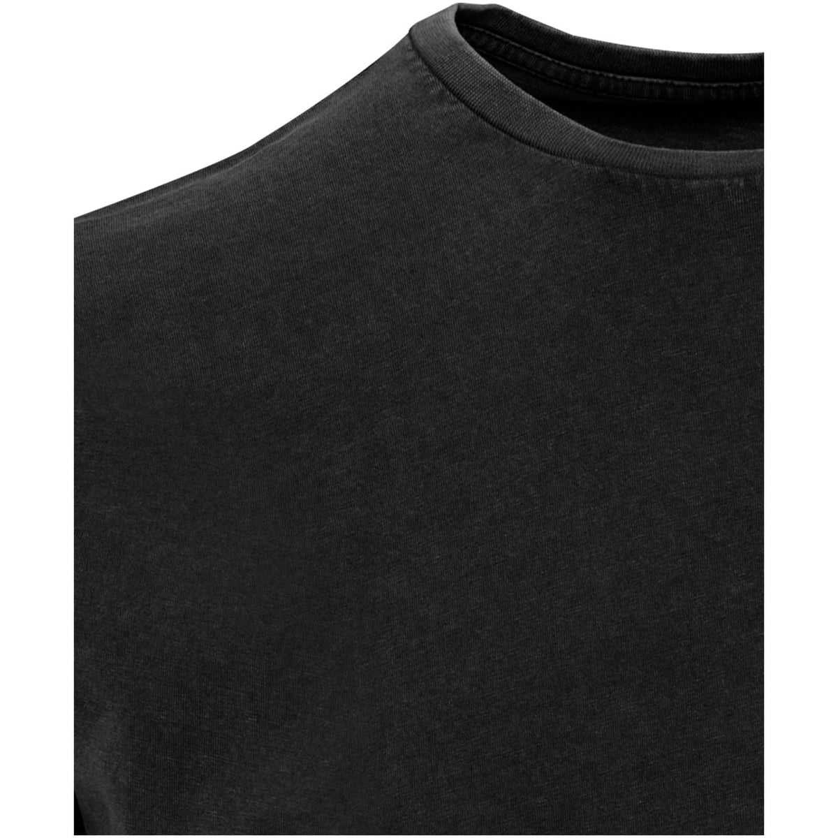 Nanaimo 160 g/m2 kortärmad tvättad T-shirt för herr