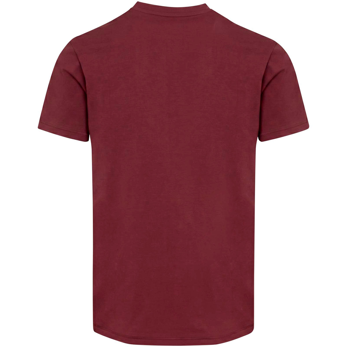 Balfour 200 g/m² kortärmad v-ringad unisex-T-shirt av ekologiskt OCS-material