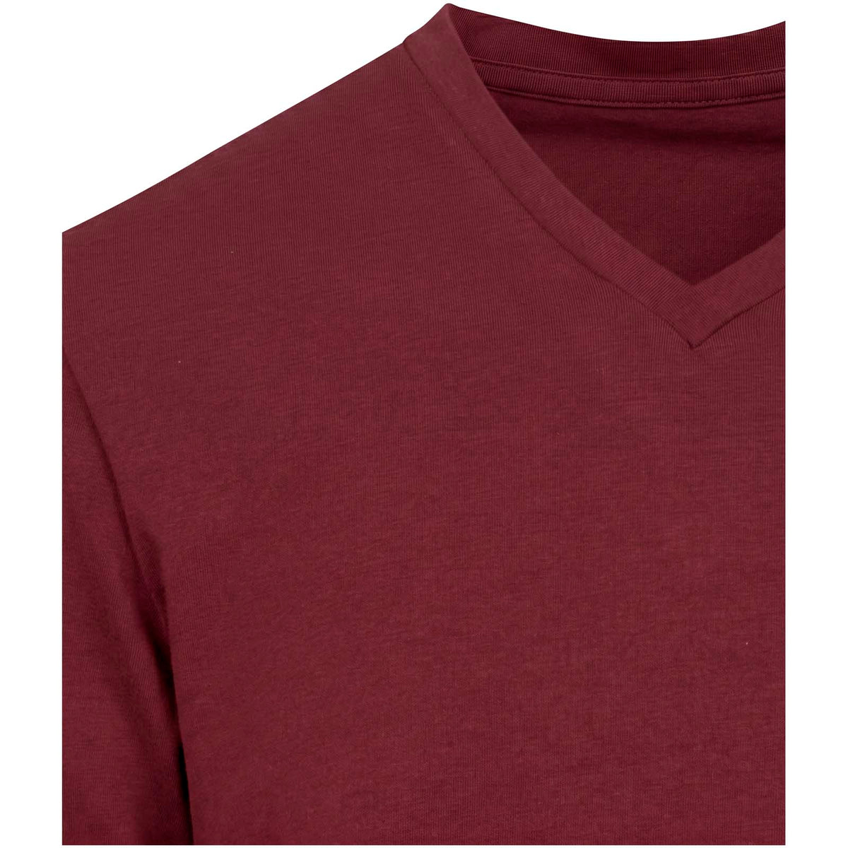 Balfour 200 g/m² kortärmad v-ringad unisex-T-shirt av ekologiskt OCS-material