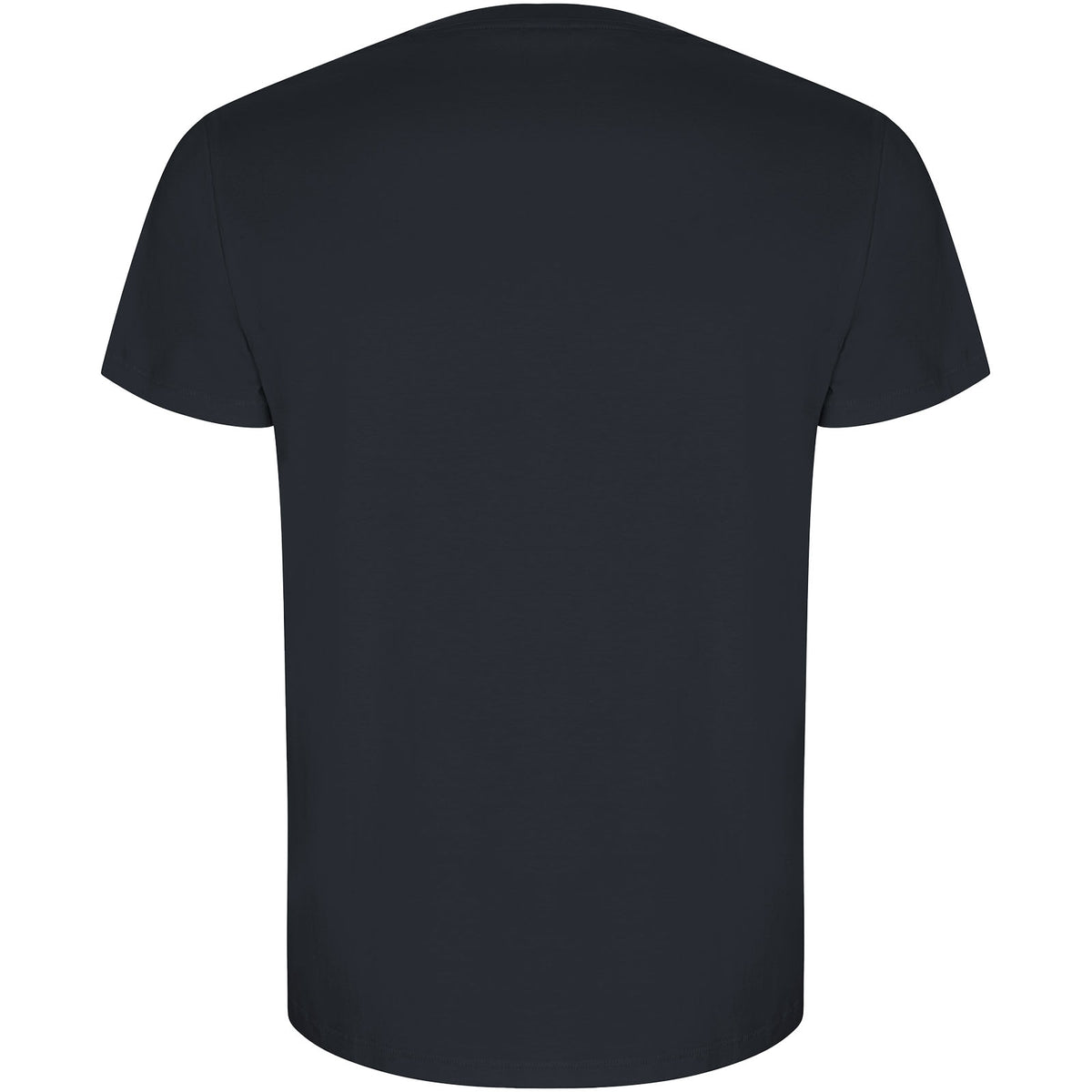 Golden 160 g/m² kortärmad T-shirt för herr