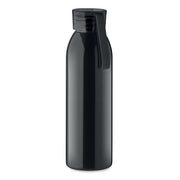 Flaska i rostfritt stål 650 ml