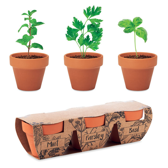 Terracotta set med 3 örtskålar