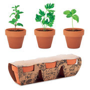 Terracotta set med 3 örtskålar