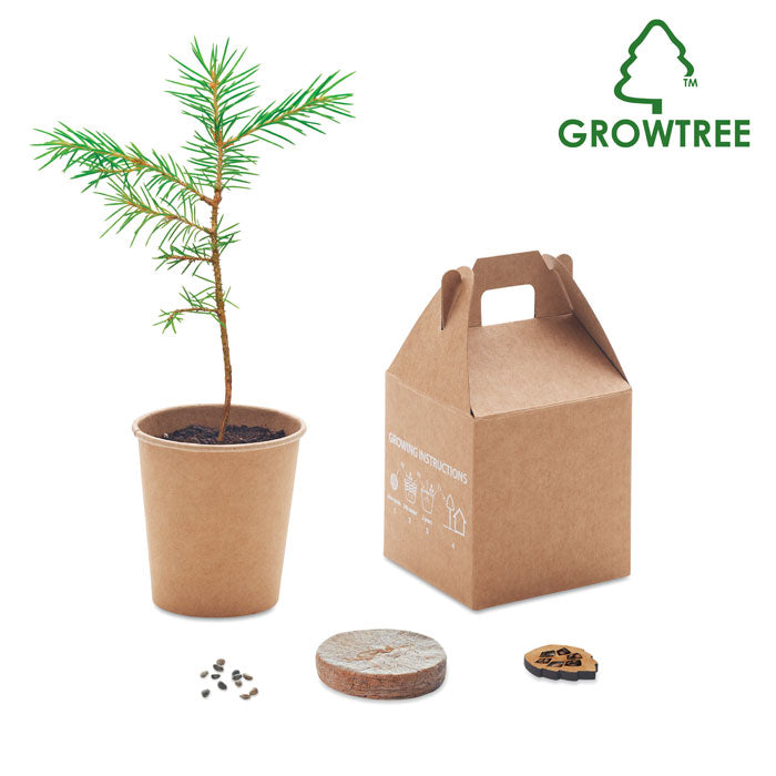 Pappersset av furu