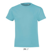 REGENT FIT BARN 150g